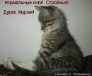 Фотография Поповой Татьяны