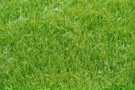 Фотография Цикра Наталья