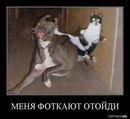 Аліна Бондаренко фотография #34 (источник - https://vk.com/id136560575)