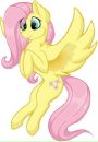 Flutter Shy фотография #6 (источник - https://vk.com/id161207668)