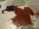 Юрій Гайковський фотография #35 (источник - https://vk.com/id130320583)
