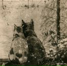 Фотография Лемешевой Дарьи