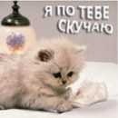 Метя =))) фотография #6 (источник - https://vk.com/id152654297)