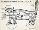 Андрій Кіт фотография #42 (источник - https://vk.com/id16325497)
