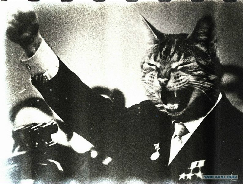 №20, Владимир Ёшкин, Челябинск №20, Владимир Ёшкин, Челябинск