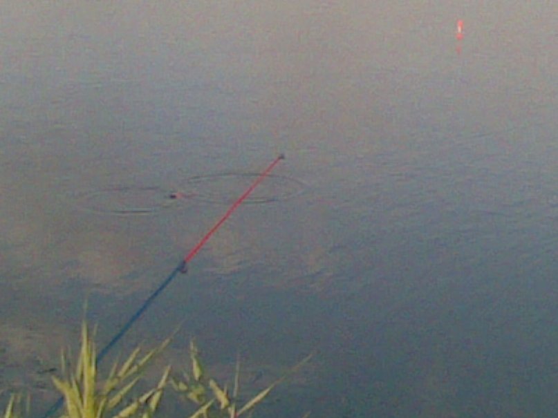 Олег Костенко фотография #26