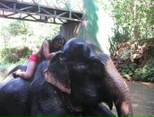 Фотография Желтышевой Ольги