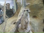 Фотография Зотеевой Елены