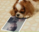 Фотография Савельевой Дарьи