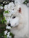 Вікусічка Хайчевська фотография #3 (источник - https://vk.com/id29934599)