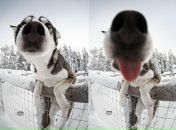 Данил Сергеев фотография #43 (источник - https://vk.com/id4598555)