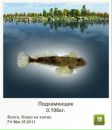 Віктор Гнатенко фотография #9 (источник - https://vk.com/id54231229)
