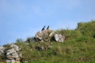 Константин Басалаев фотография #30 (источник - https://vk.com/id257097)