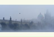 Віталія Стельмащук фотография #6 (источник - https://vk.com/id89971073)