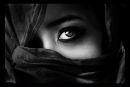 Фотография Safarov Alisher