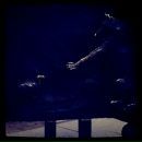 Виктор B фотография #24 (источник - https://vk.com/id1739100)