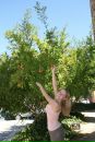 Фотография Дегтярёвой Светланы