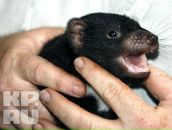 Фотография Герцика Матвея