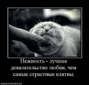 Юлія Войнова фотография #29 (источник - https://vk.com/id28866901)
