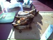 Фотография Ice Дмитрия