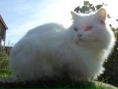 Фотография Павнежевой Ольги