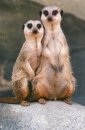 Валера Бутенко фотография #4 (источник - https://vk.com/id1525723)