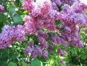 Фотография Хлабыстиной Юлии