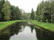 Сергій Оцупок фотография #27 (источник - https://vk.com/id118684110)