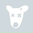 Фотография Матвейкина Григория