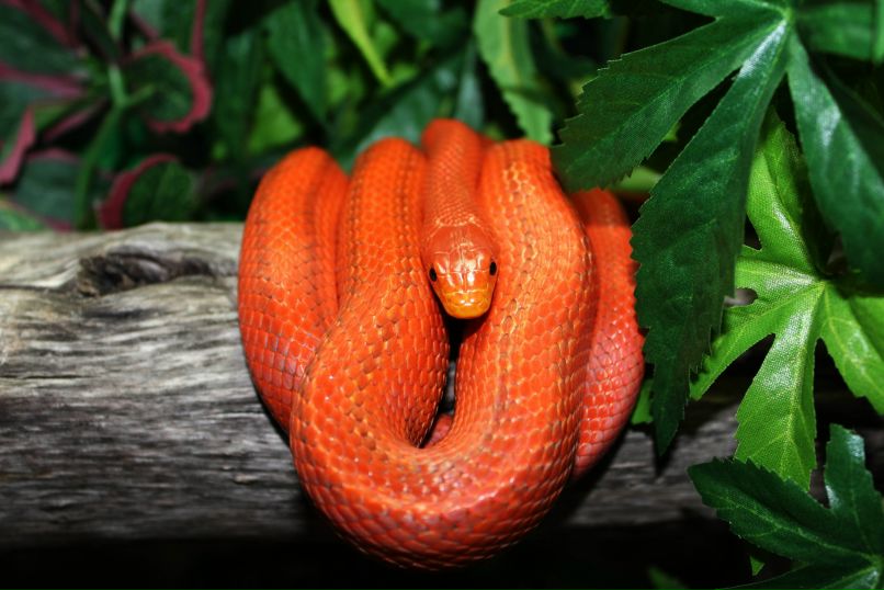 Дмитрий Петрушин фотография #23