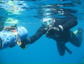 Фотография Meatball Евгена