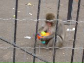 Фотография Аншец Елены