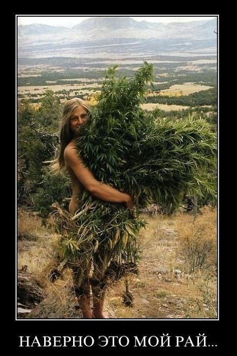 Дмитрий Дмитрий фотография #48