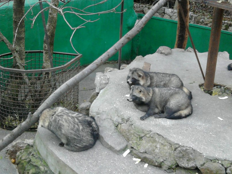 Коля Приходько фотография #3