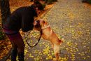 Фотография Фомичёвой Ирины