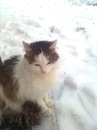 Ірина Ящик фотография #31 (источник - https://vk.com/id141853527)