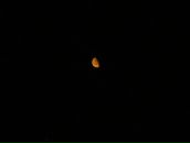 Ксения Эрдоган фотография #43 (источник - https://vk.com/id1411097)