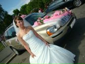 Фотография Starosvetskiy Arseniy