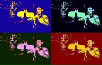 Фотография Вокуева Максима