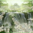 Перевізник Соломия фотография #35 (источник - https://vk.com/id97876422)