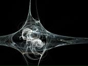 Фотография Патрикеева Людмила