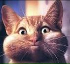 Фотография Чистякова Дениса