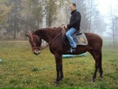 Фотография Красина Алексея