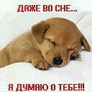 Віталій Панасюк фотография #30 (источник - https://vk.com/id89013048)