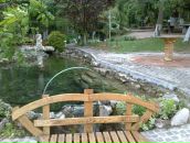 Иван Стефановић фотография #33 (источник - https://vk.com/id74217773)