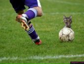 Смачна-випічка Наминайко фотография #45 (источник - https://vk.com/id123492399)