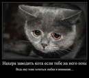 Руслан Матвєєв фотография #11 (источник - https://vk.com/id123654797)