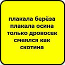 Сергий Дяків фотография #48 (источник - https://vk.com/id138927483)