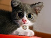 Дімочка Мінкевич фотография #3 (источник - https://vk.com/id66376712)