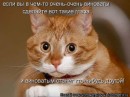 Иришка Венцова фотография #31 (источник - https://vk.com/id4664078)